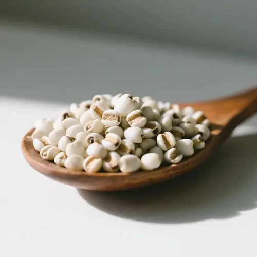 生薏米